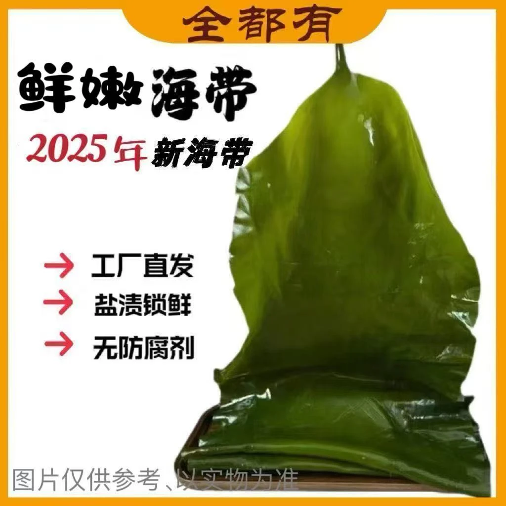25年新海带！带箱5斤！