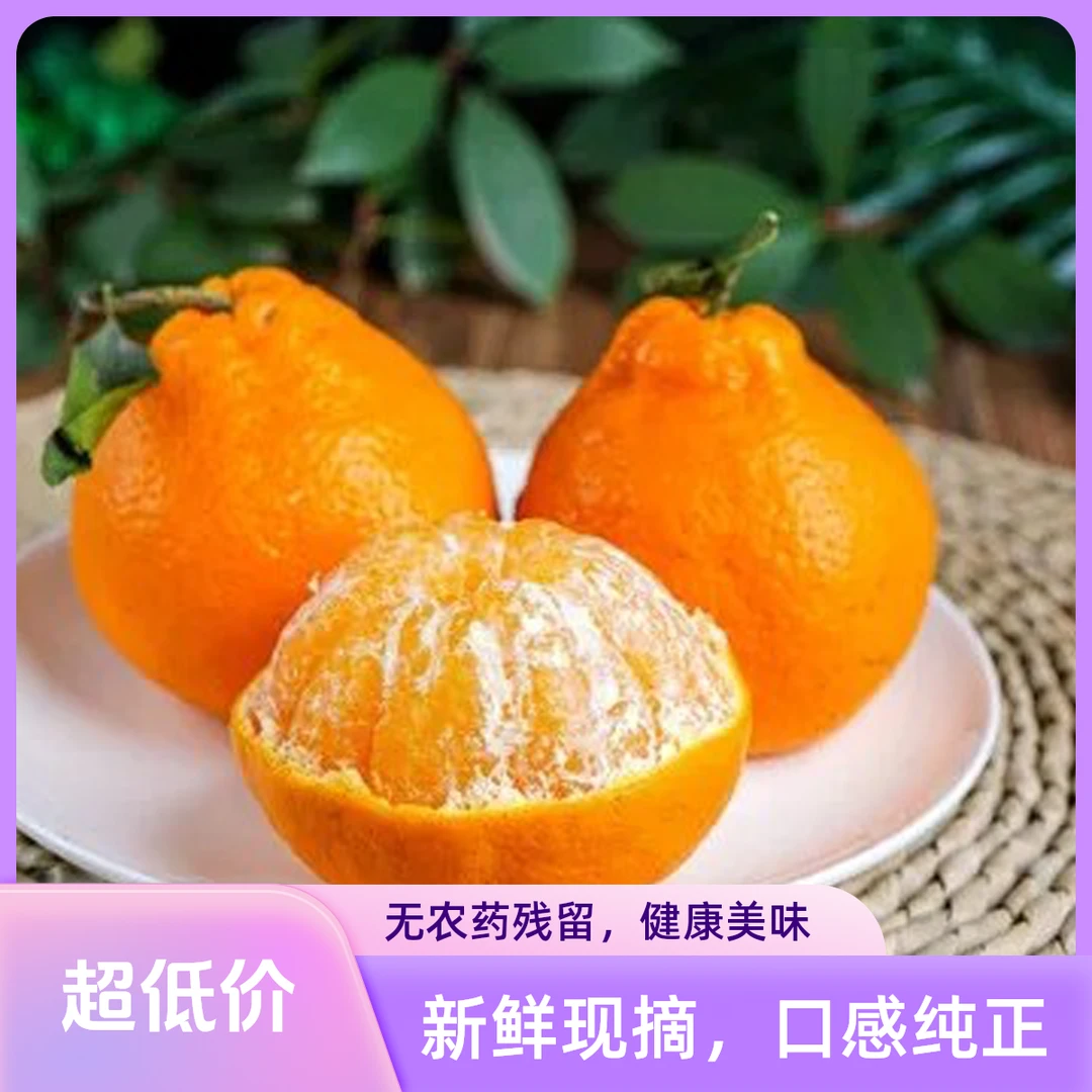 四川春见耙耙柑整箱带箱9.5斤-10斤自然成熟天然美味