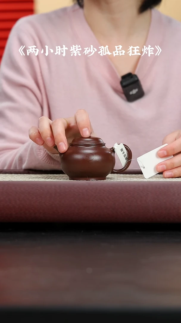 【闪购商品】紫砂茶壶孤品专区 373