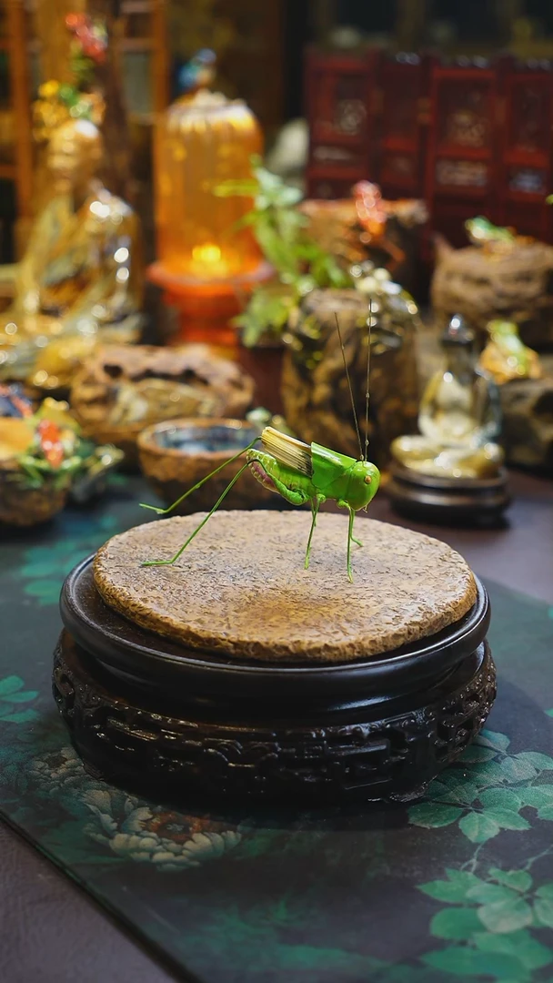 哈哈哈哈哈哈哈哈哈灌灌灌灌