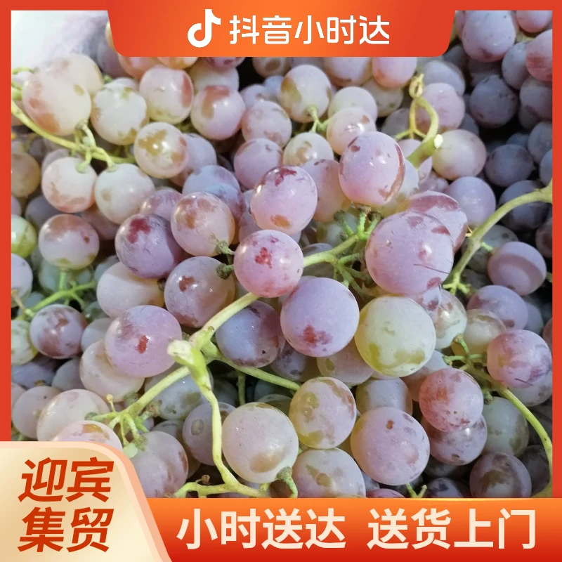 龙眼葡萄（950g左右）