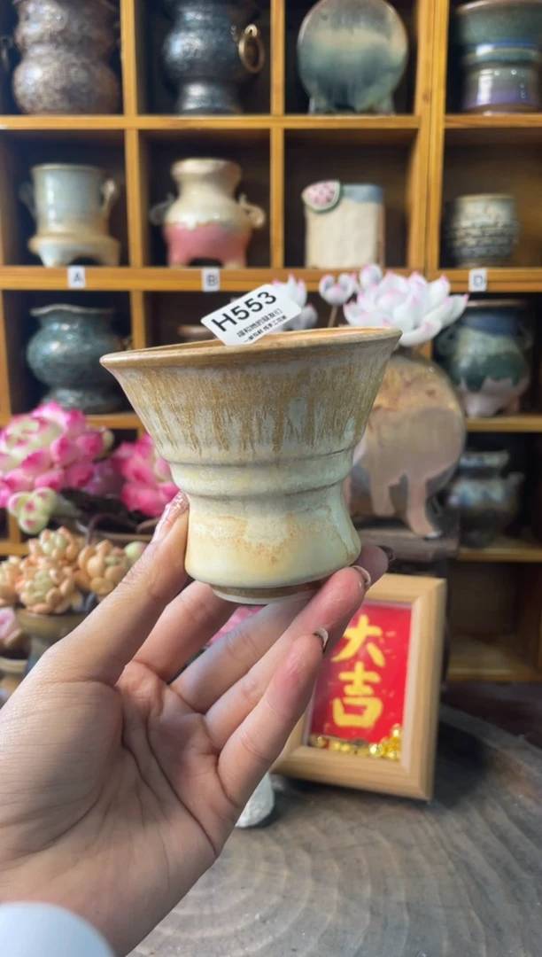 别****彩553【多肉花盆多肉盆】