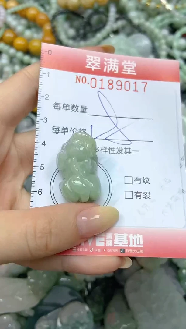 颈饰未镶嵌翡翠闪购0189017