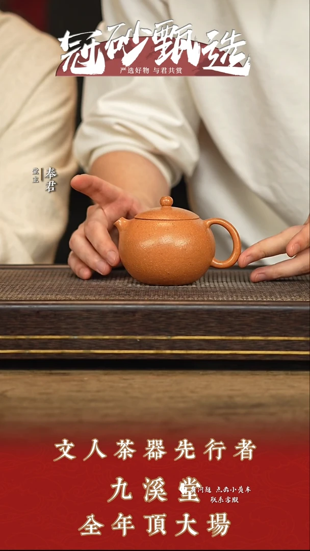 九溪堂壶紫砂茶壶s5