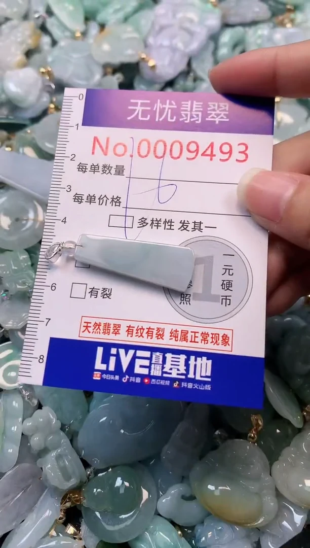 颈饰未镶嵌翡翠9493