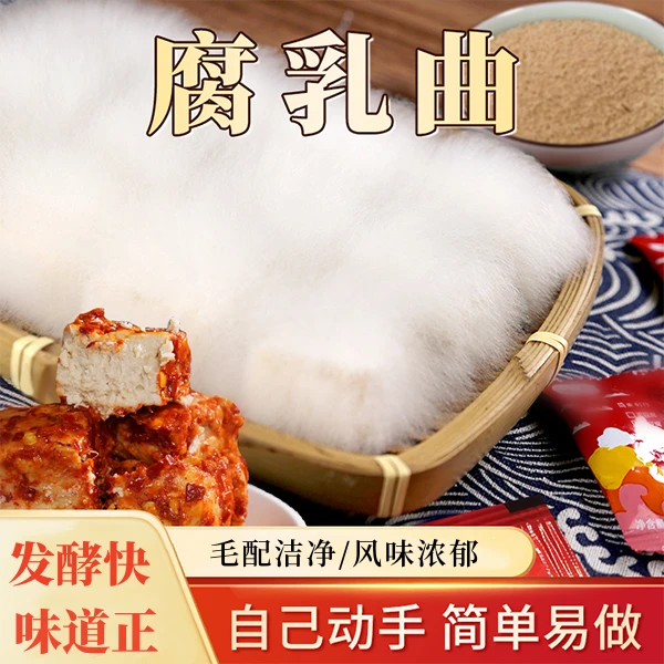 曲子新鲜曲粉自制长白毛臭豆腐霉豆腐毛霉菌粉传统简单家用发酵