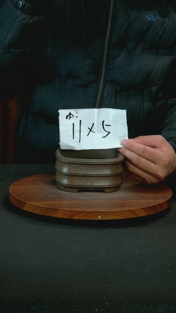 【闪购商品】紫砂R29