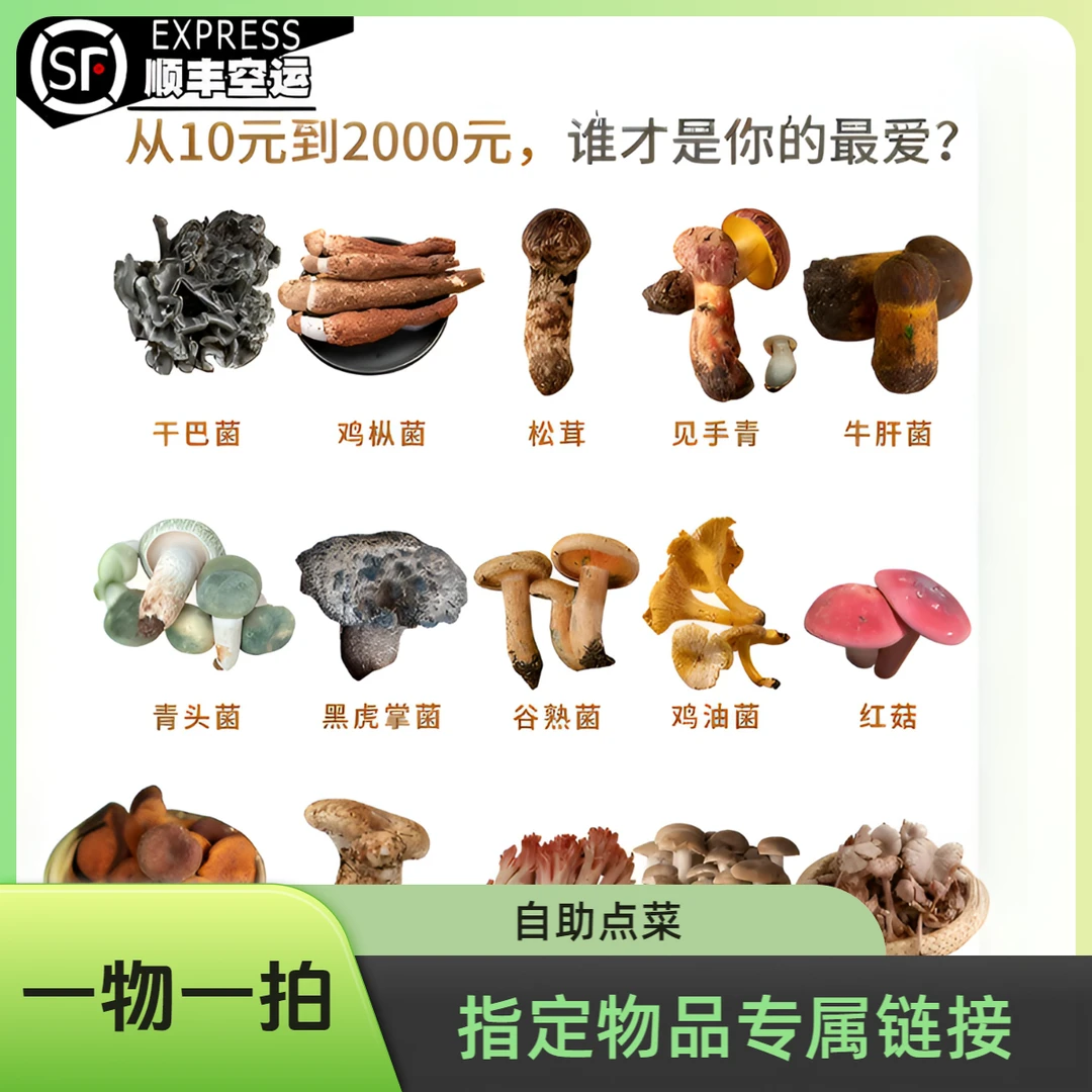 新鲜当天下山野生菌子蘑菇一物一拍指定价格指定链接品质保证中国美味蘑菇