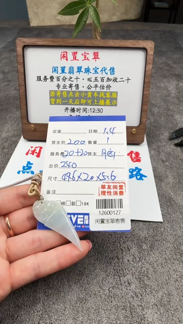 颈饰未镶嵌翡翠12600127