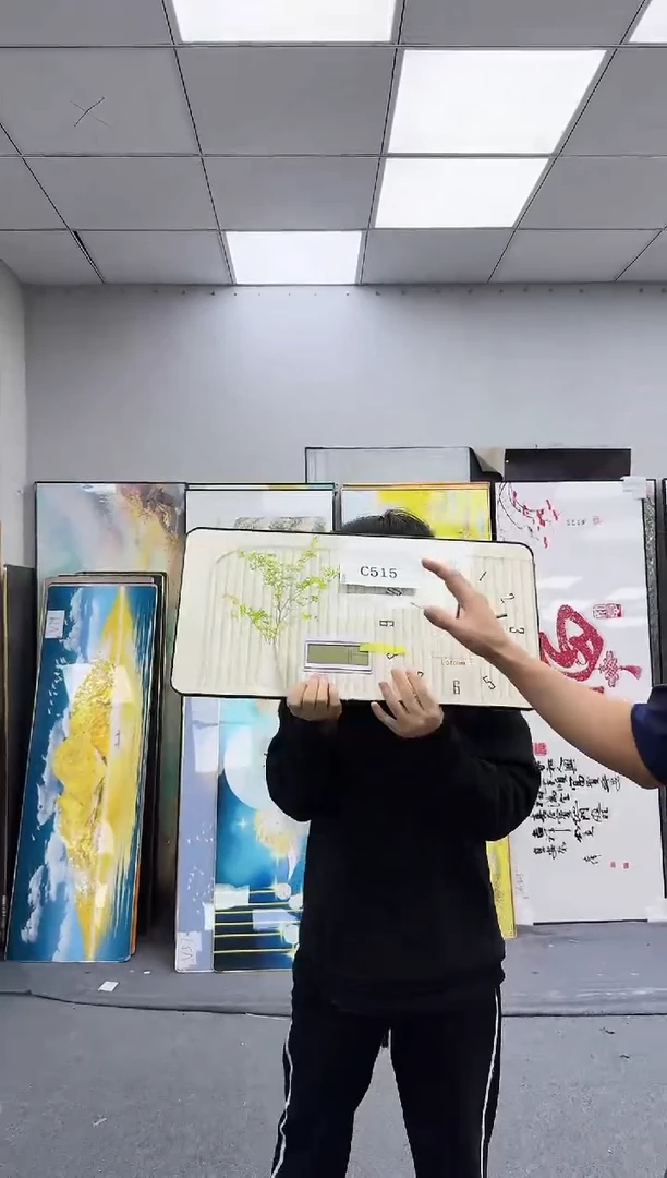 孤品微瑕黑马闪购C515