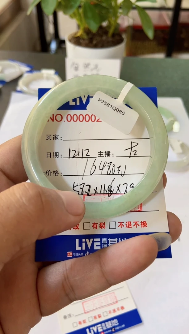 未镶嵌手镯翡翠17