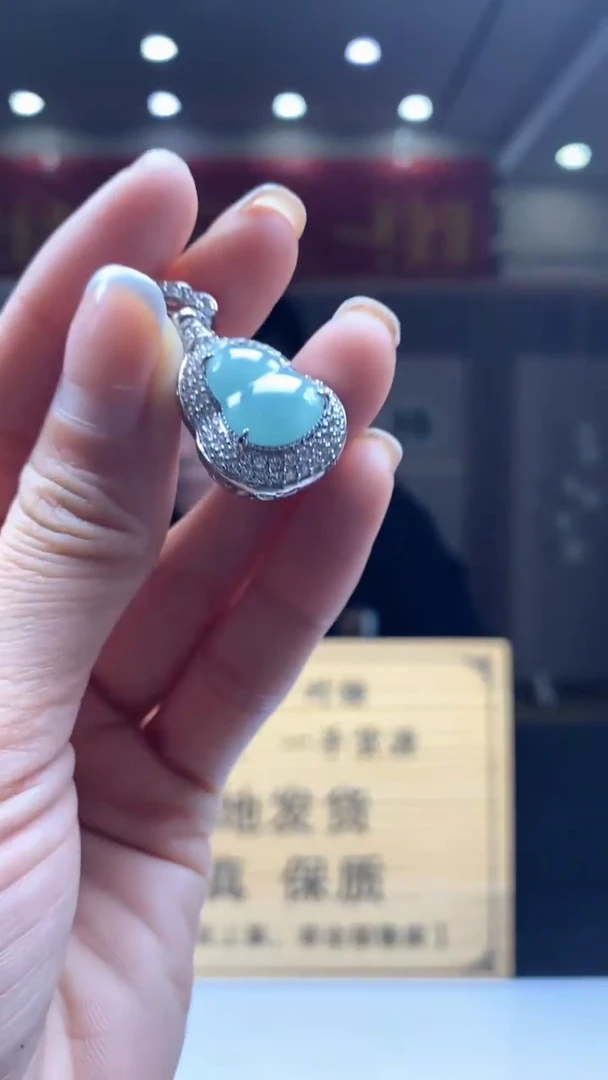 【闪购商品】翡翠颈饰未镶嵌********604