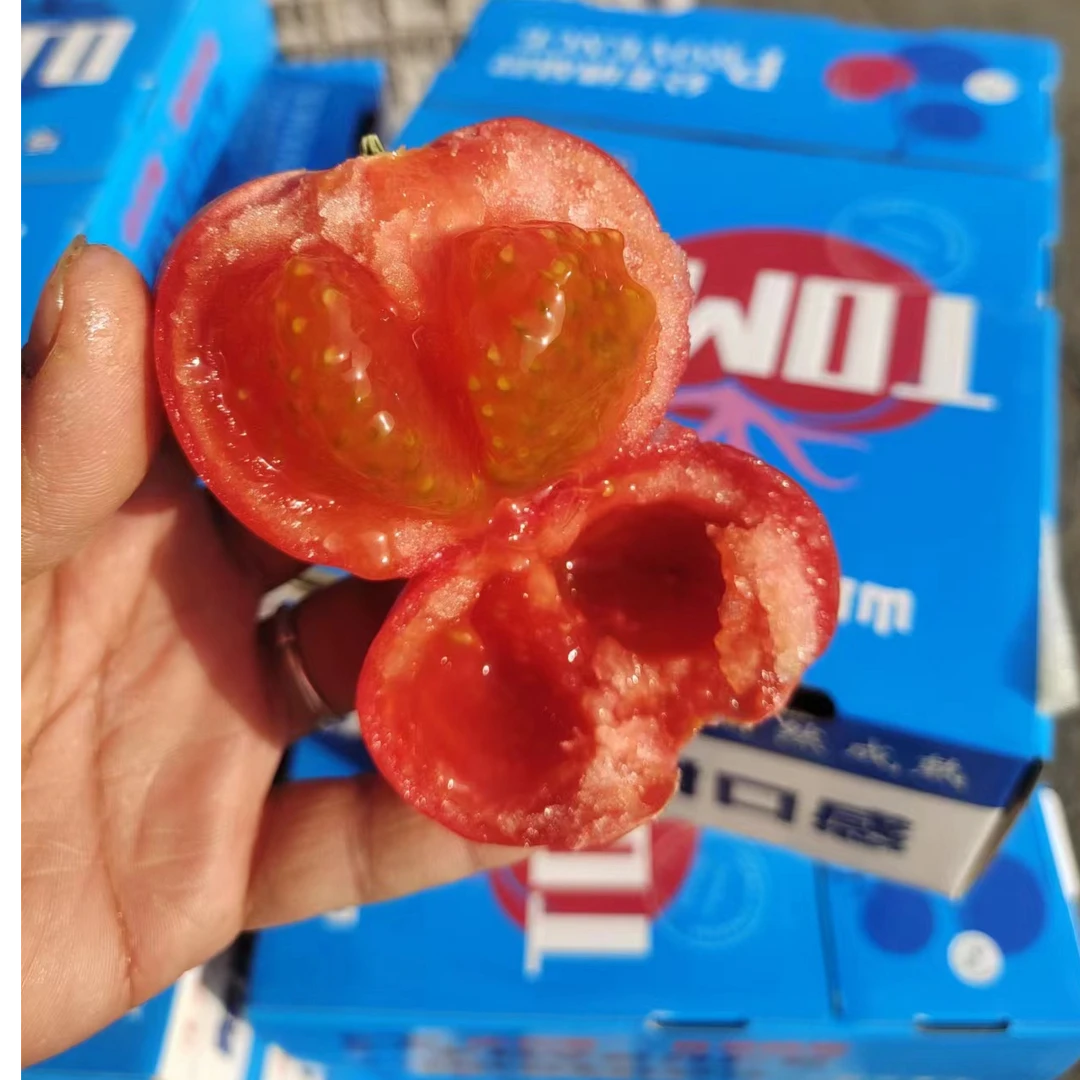 【顺丰包邮】普罗旺斯番茄沙瓤多汁当季鲜果生吃炒菜都可以毛重3斤