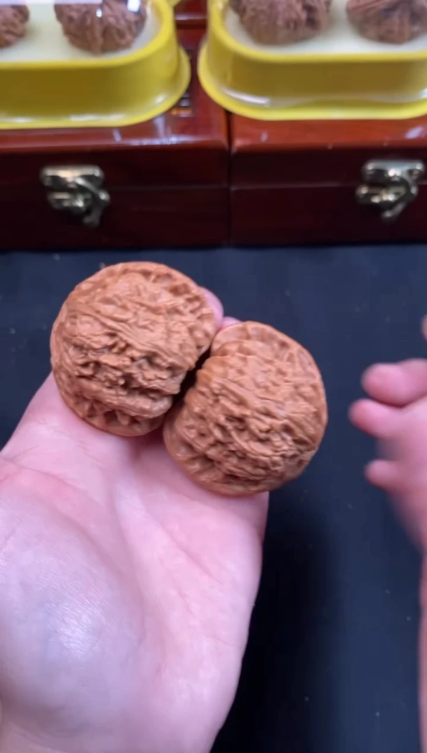 把件文玩核桃白狮子44尺c070