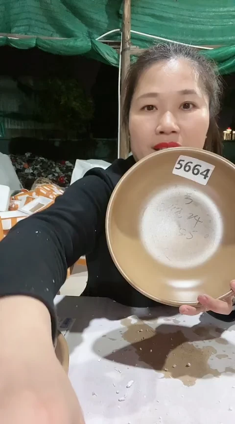 陶5664瑕疵咖色煎盘