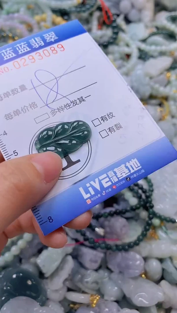 翡翠未镶嵌颈饰闪购0293089