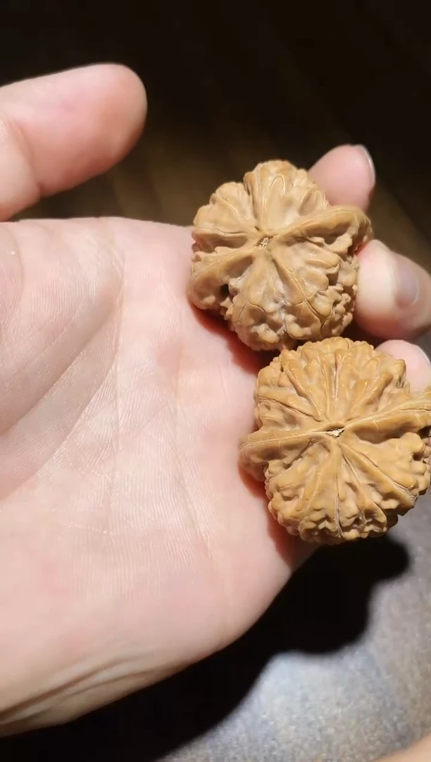 桃核把件全品蚂蚁王36-37