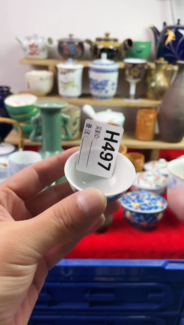 瓷片77777777777 H497