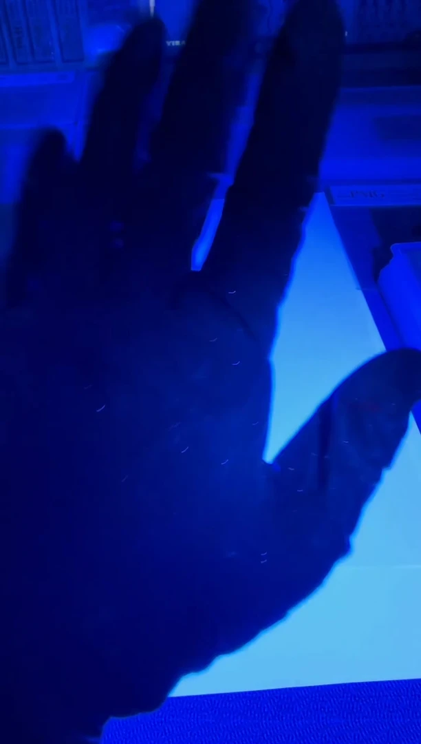 拾圆  原厂福根  左边条