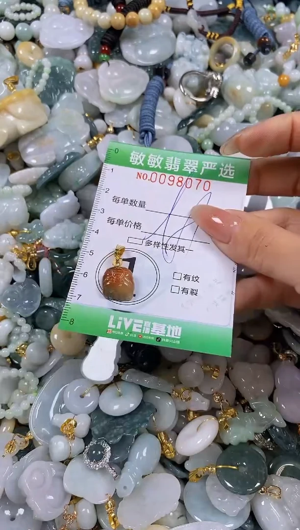 【闪购商品】翡翠颈饰未镶嵌闪购0098070