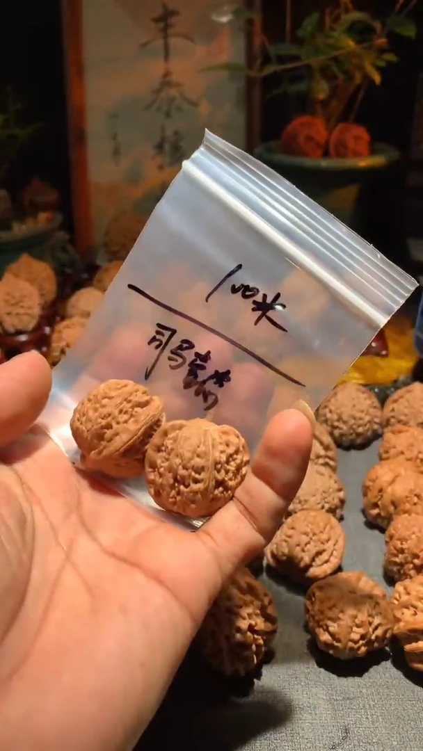 把件桃核司*懿丰泰文玩白狮子   32 尺寸左右
