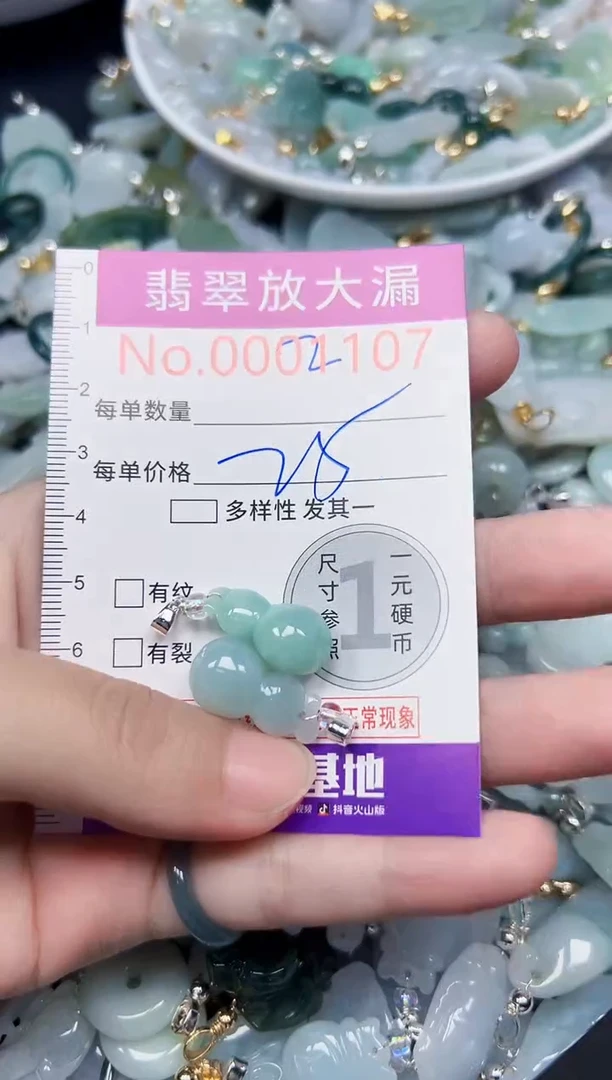 颈饰未镶嵌翡翠1107
