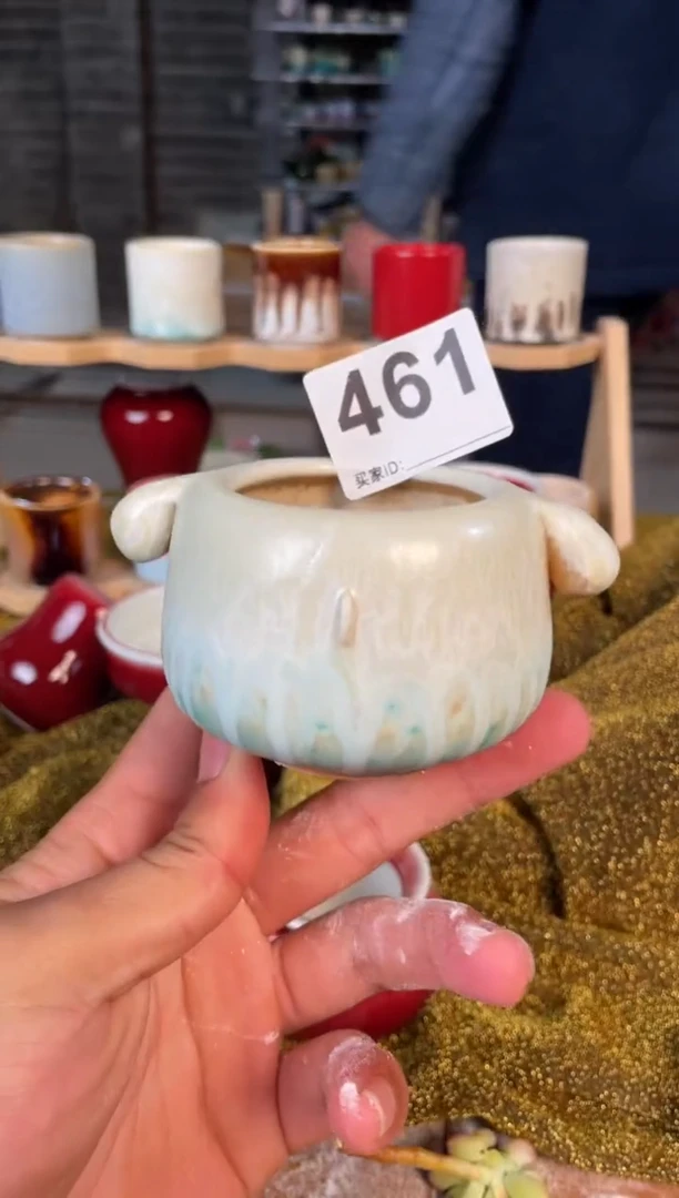 【闪购商品】摆件461小芳直播编号