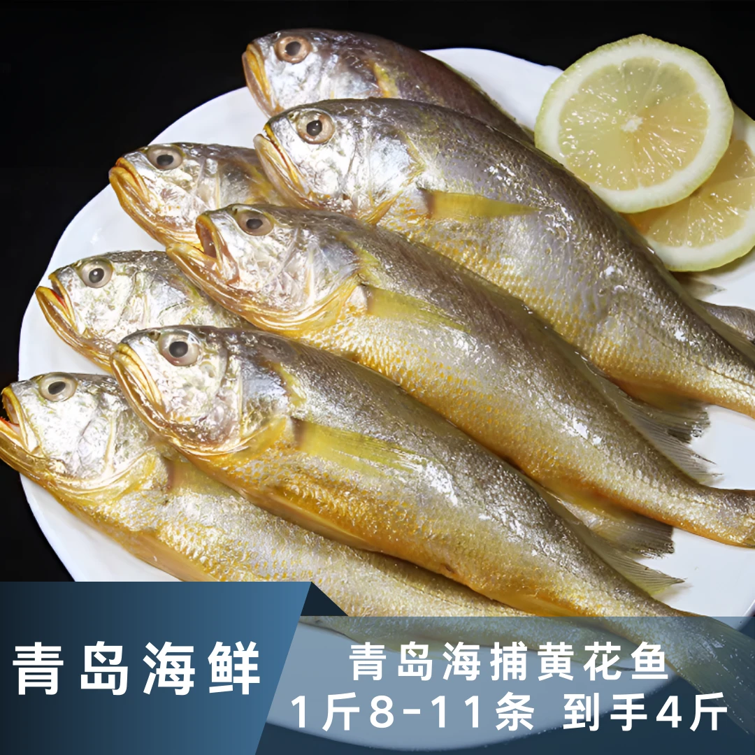 【青岛本地】野捕黄花鱼，1斤8-11条，净重4斤，鲜活速冻，冷链包邮
