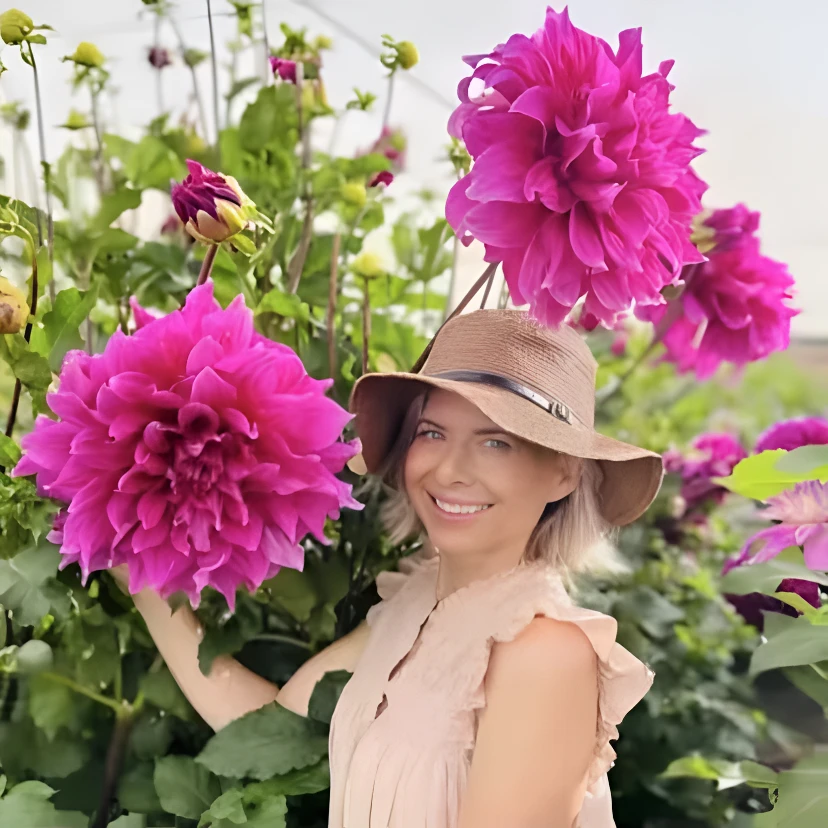 大丽花品种合集【大坨发货】进口大丽花种球当年开花