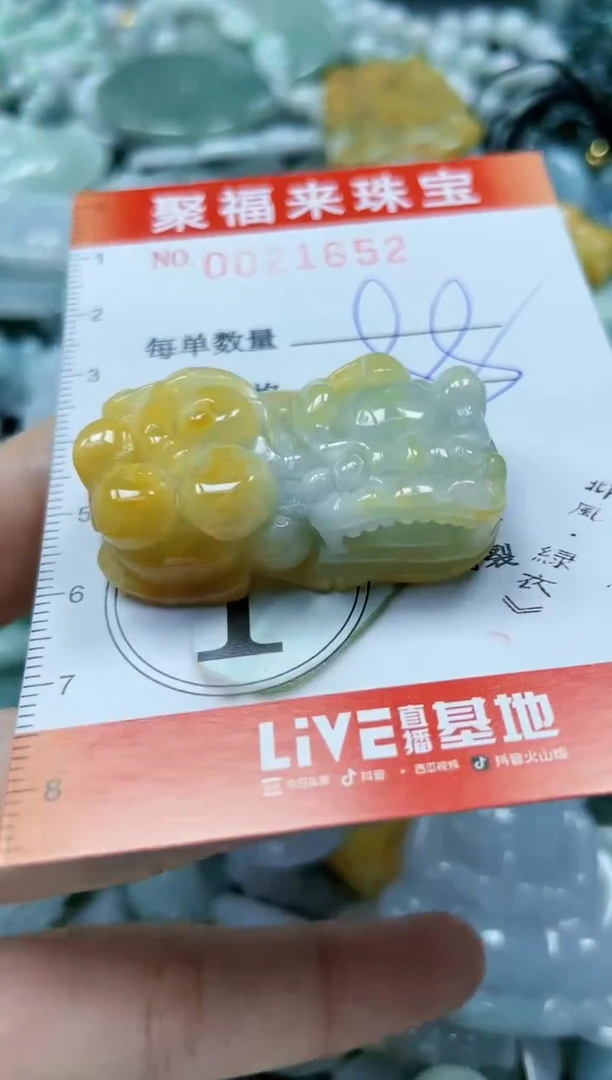 【闪购商品】翡翠颈饰未镶嵌闪购0021652