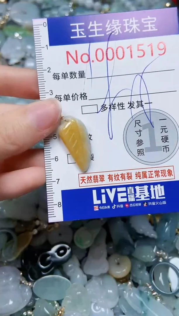 【闪购商品】翡翠颈饰未镶嵌闪购00001519