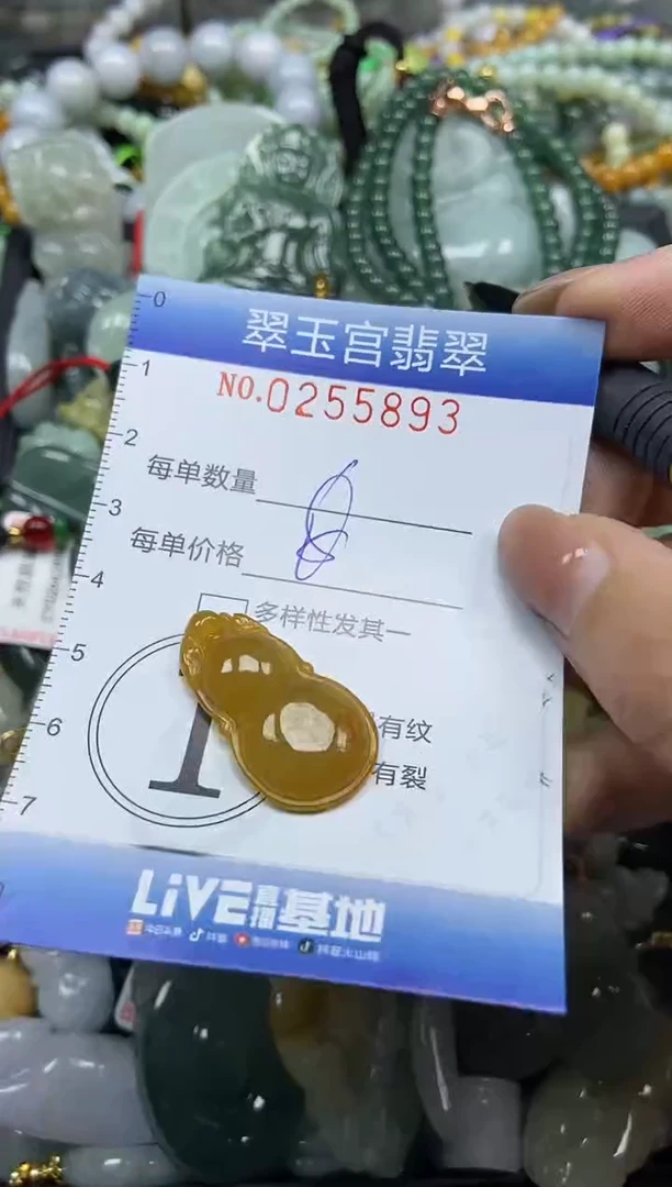 颈饰未镶嵌翡翠闪购C0255893