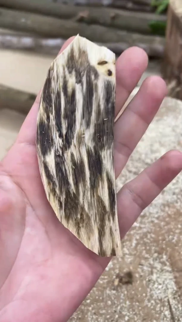 沉香沉香碎屑棋楠沉香 原料文创1