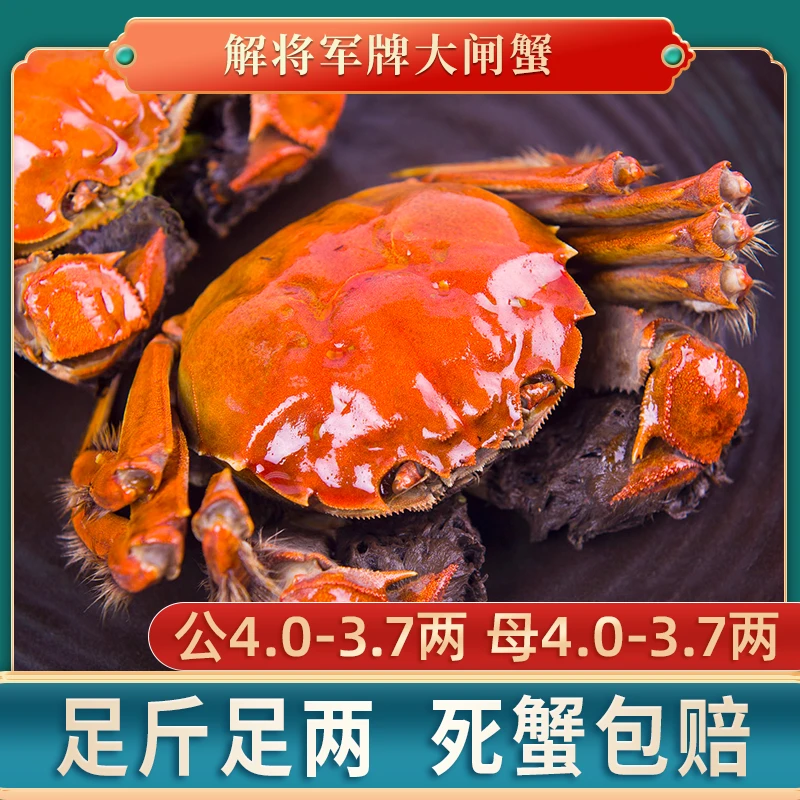【活蟹】【解将军牌】公4.0-3.7两 母4.0-3.7两 (8/10)只