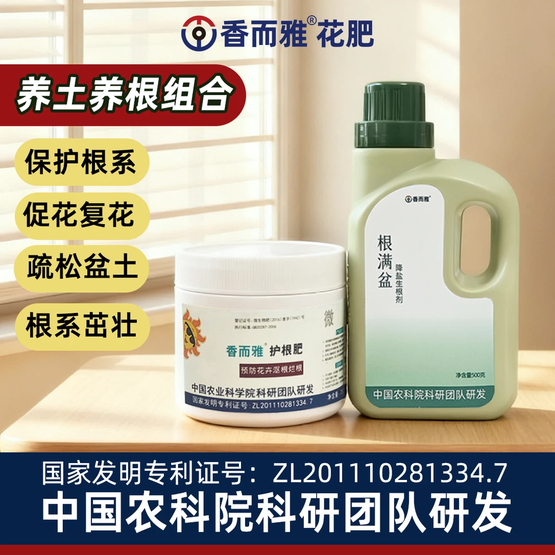 香而雅养根护根组合 洗根换盆缓苗快 壮根疏松土壤