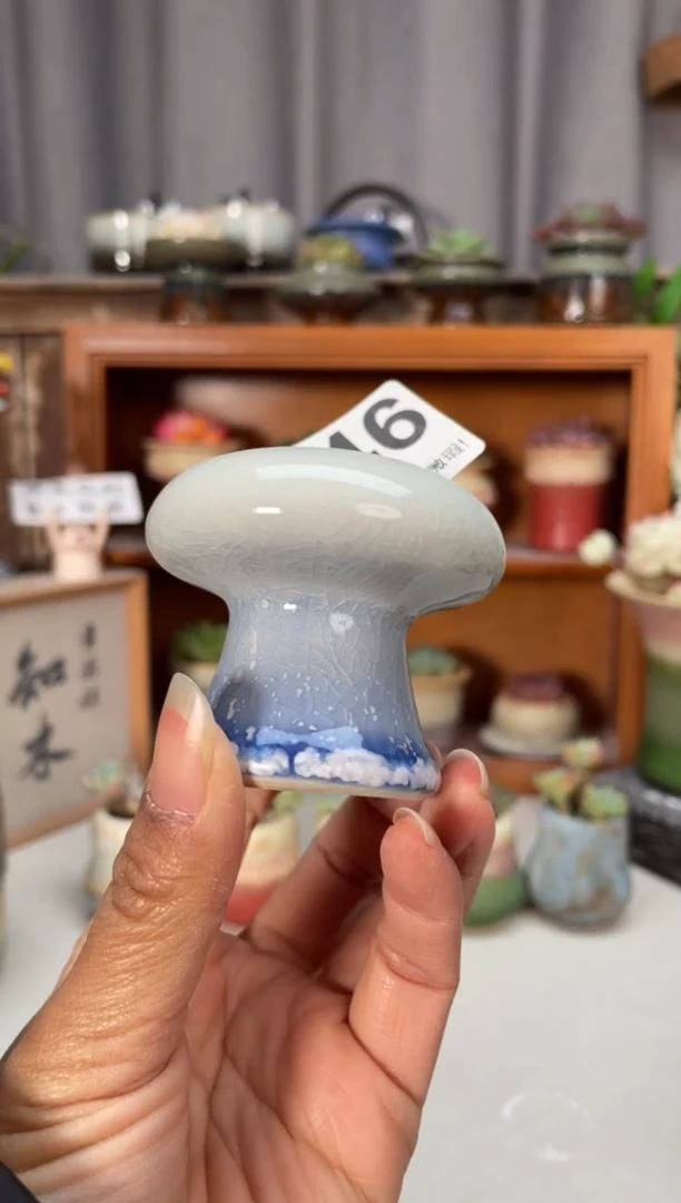 瓷片646小芳直播编号