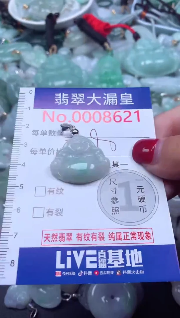 颈饰未镶嵌翡翠8621