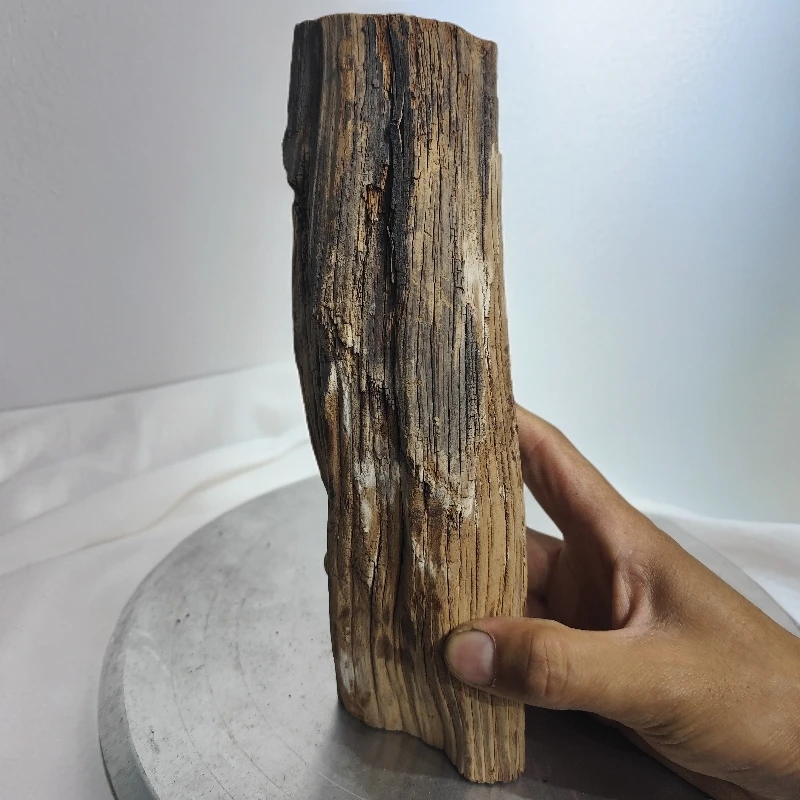 天然崖柏毛料雕刻打粉熏香