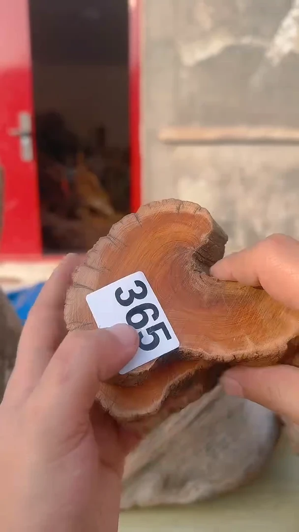 柏木（崖柏）太行陈化崖柏香片！随机一片！（1单1片）365