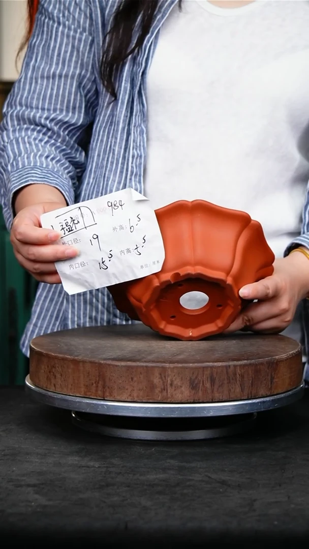 紫砂花盆花卉园艺984