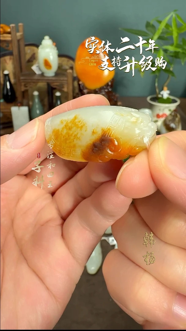 颈饰未镶嵌和田玉新疆白玉龙龟挂件26.3g