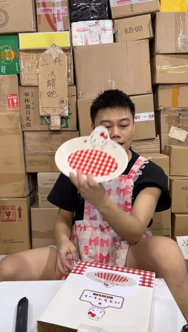 瓷片原盒kt猫红格子餐盘