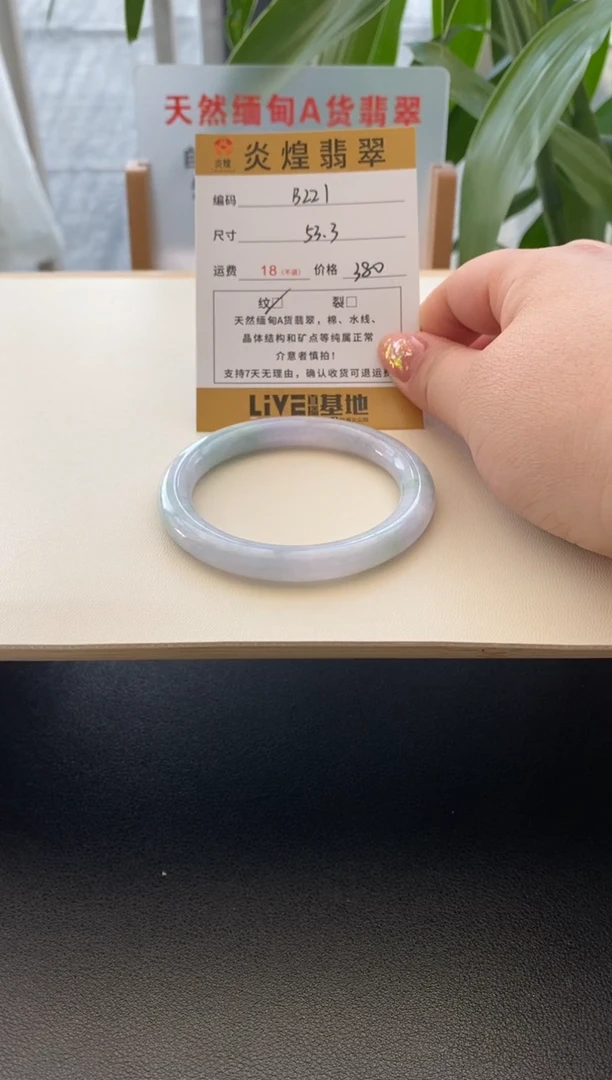 未镶嵌手镯翡翠53.2圈口 编码b221