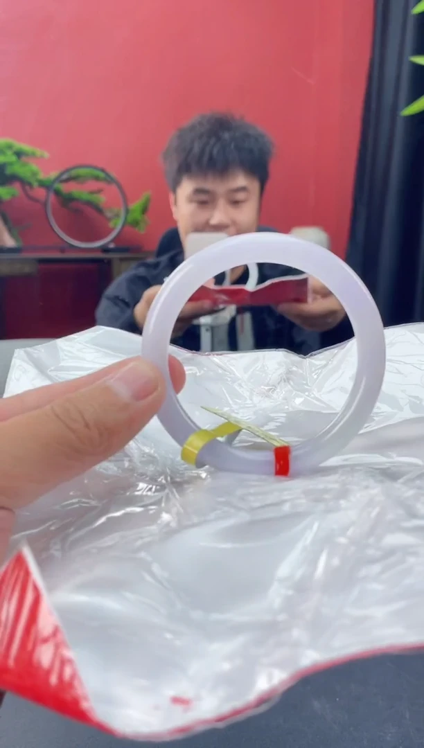 未镶嵌手镯翡翠15