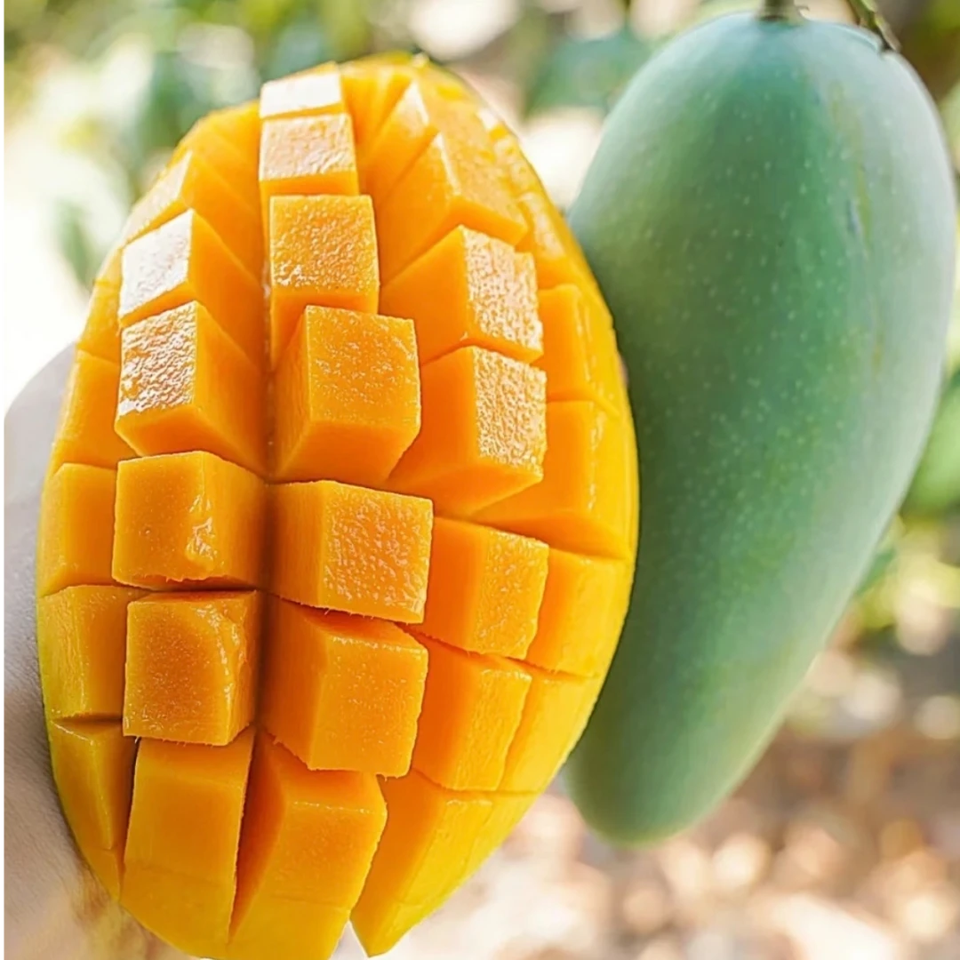 【催熟放软食用】云南青皮金煌芒当季新鲜孕妇水果云南青皮甜芒