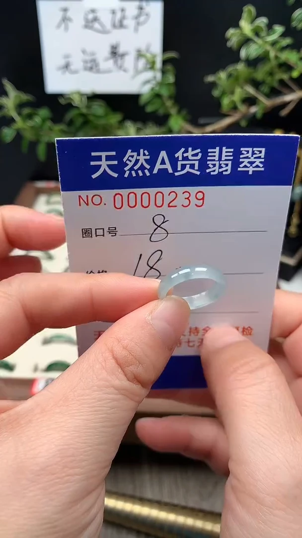 未镶嵌戒指翡翠8#
