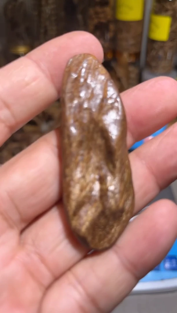 沉香沉香碎屑 东马5（克）