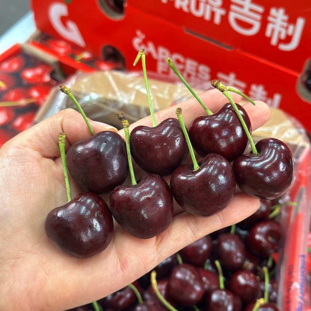 智利吉制海运桑提娜Santina车厘子2JD 3JD｜2-5斤桑提娜智利