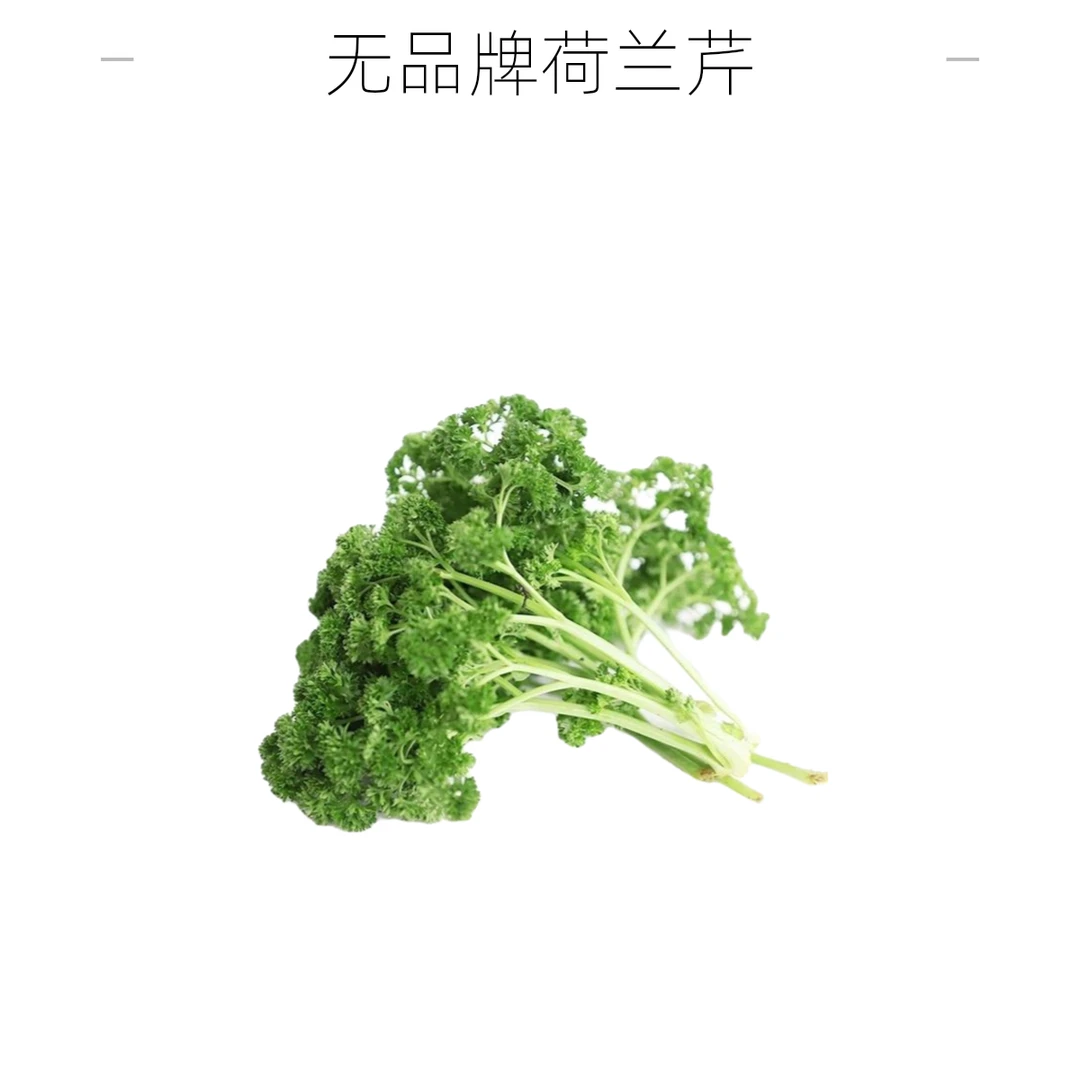 无品牌荷兰芹(法香)100g绿色蔬菜荷兰
