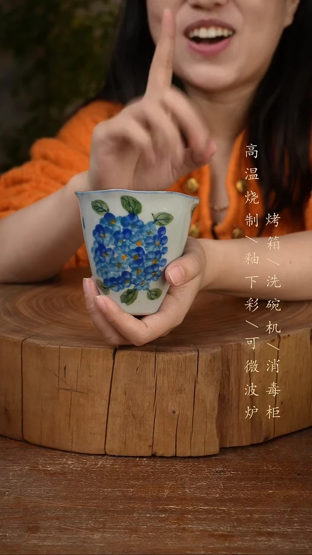 碗瓷景德镇手工手绘高温瓷釉下彩